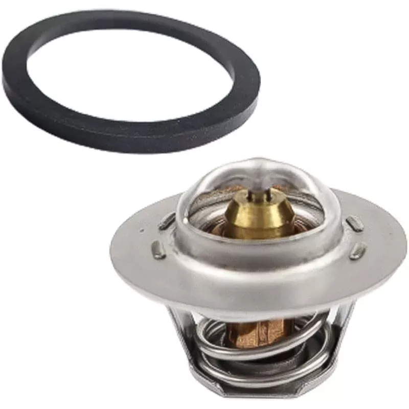 006719F Raypak Heater Unitherm Governor Replacement