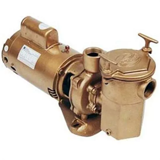Advantage Commercial Bronze In-Ground Pool Pump 1 HP