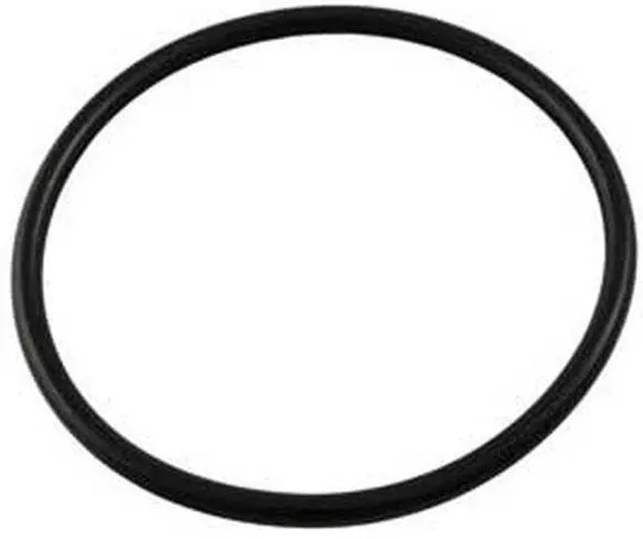 Aladdin 2" Bulkhead O Ring Replacement Gasket - O-179