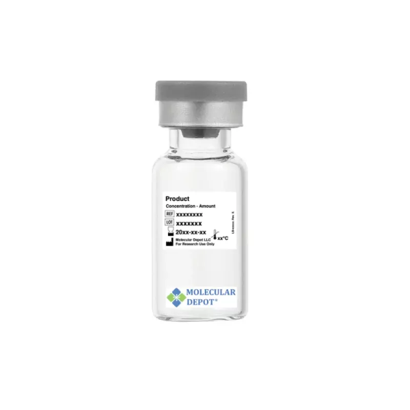 -Cardiac Actin (ACTC1) Rabbit Monoclonal Antibody