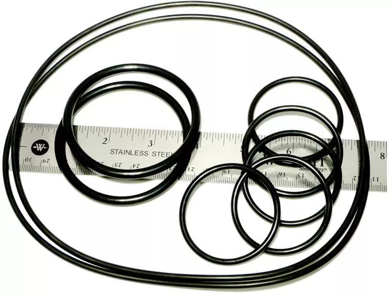 Caretaker O-Ring Kit - CT5131