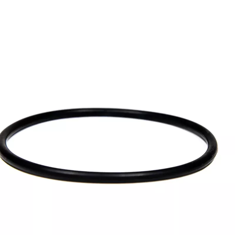 CMP PowerClean Salt Cell O-Ring - 52000-200-101