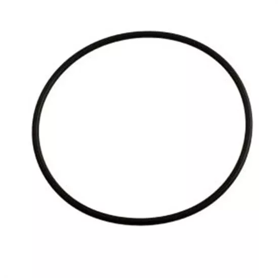 Hayward Cover O-Ring