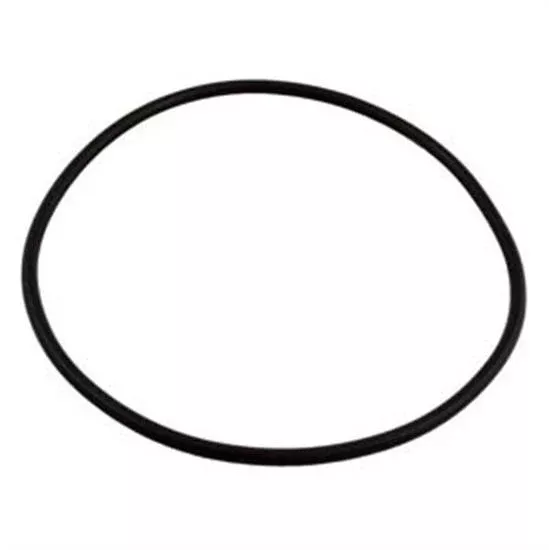 Hayward Power Flo Matrix Strainer Cover O-Ring