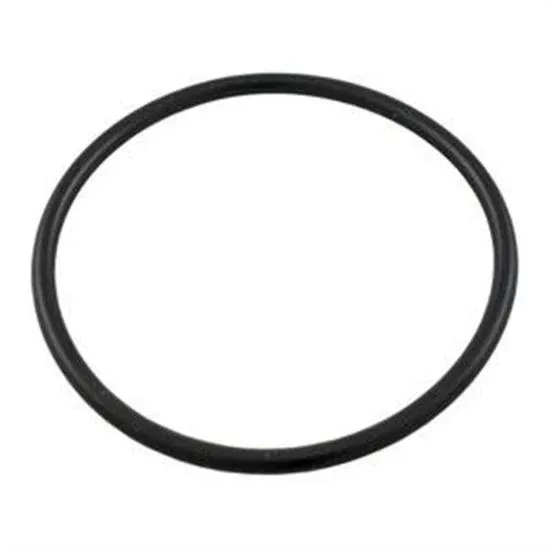 Hayward Power Flo Strainer O-Ring