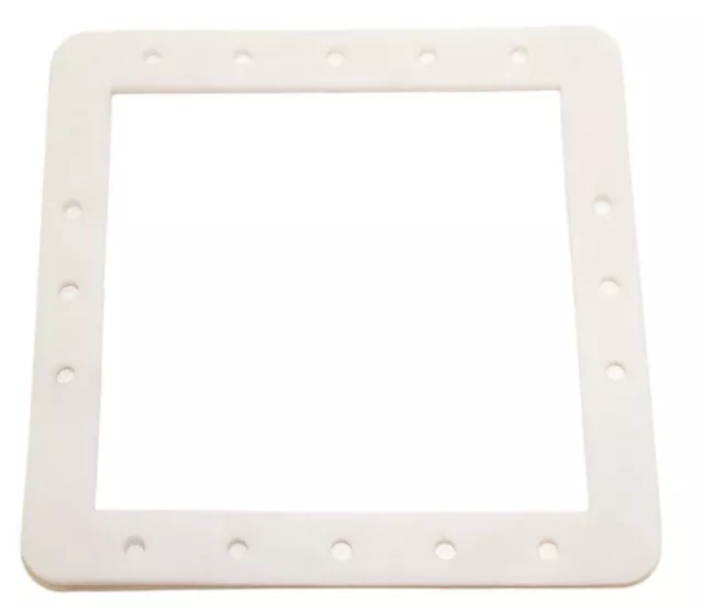Hayward Standard Butterfly Gasket - SPX1091G