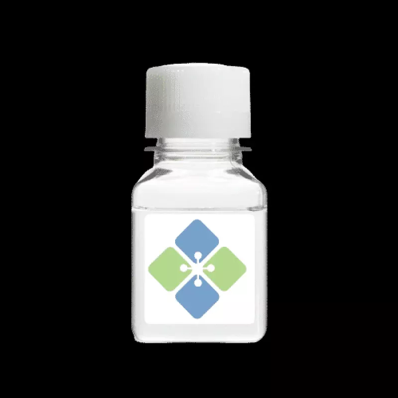 -hydroxybutyric Acid (BHB) for Interference Testing
