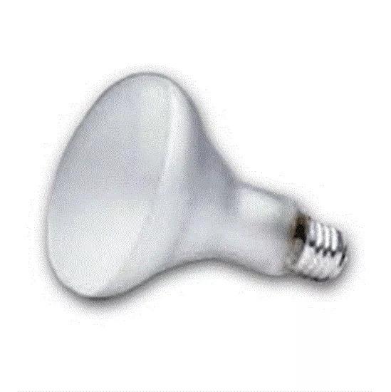 Light Bulb 12V 100W BR30
