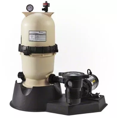 Pentair 1.5 HP 2 Speed Pump with Clean and Clear 100 Filter System - PNCC0100OF2160