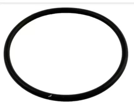 Pentair Rainbow Lid O Ring Automatic Chemical Feeder - R172009