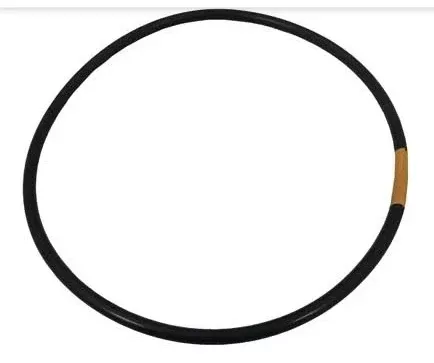 Pentair Rainbow O Ring Lid To Housing - R172240