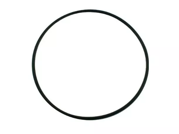 Pentair Seal Bracket O-Ring for Pool or Spa Pump - 355619