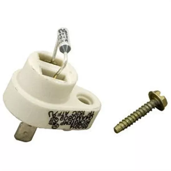 Raypak Thermal Fuse