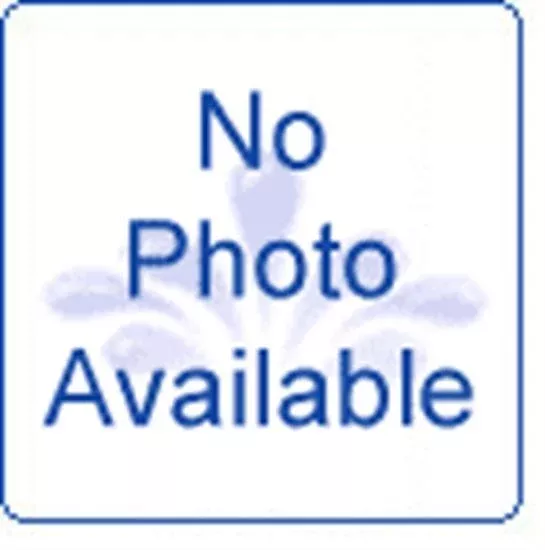 SR Smith Diving Board Minor Damage Repair Kit - Pewter Gray