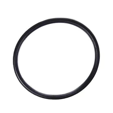 Sta-Rite O-Ring 35505-1428Z