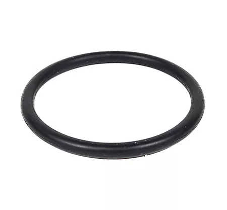 Sta-Rite O-Ring 35505-1429Z