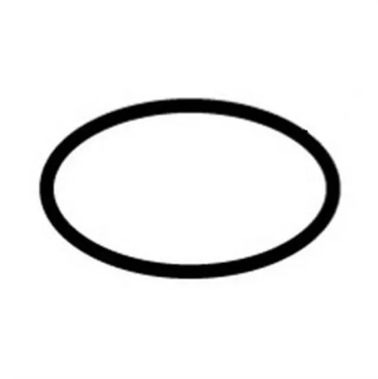 Sta-Rite O-Ring Tank System 2