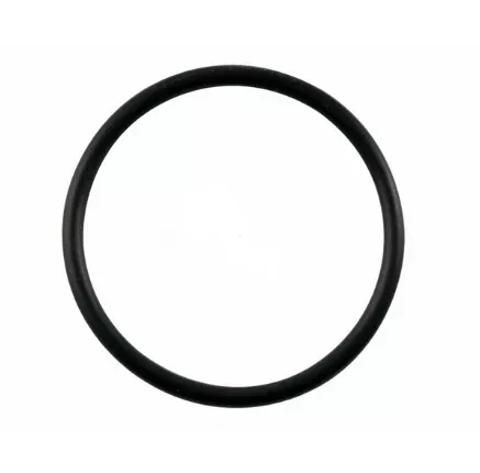 Super-Pro 1.5 Inch Union and Diffuser O-Ring - O-49-9