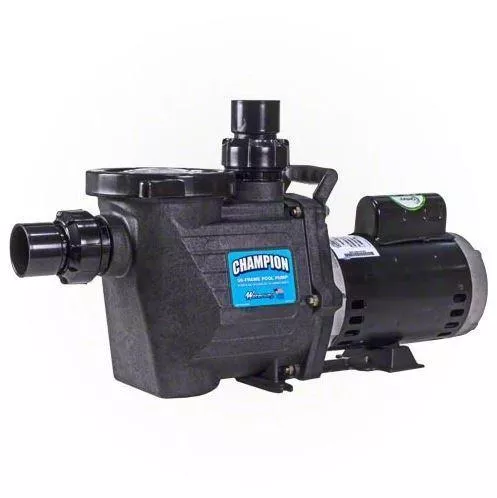 Waterway Champion 3 HP Pump - Energy Efficient- CHAMPE-130