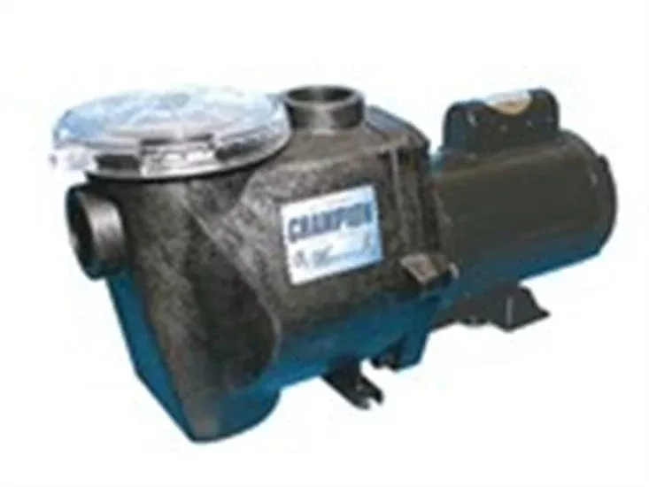 Waterway Champion In-Ground Pool Pump 2 1/2 HP - 2 Speed