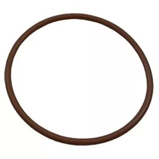 Waterway Chlorinator O-Ring