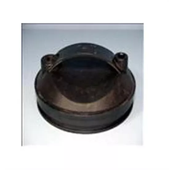 Waterway Top Load Filter Lid