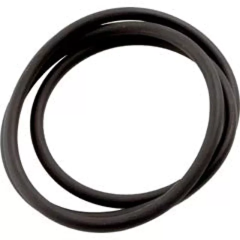 Zodiac Jandy CS Series Tank Lid O-Ring