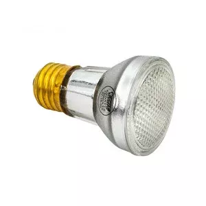 Zodiac Replacement Bulb, 115V, 60W, Spa, R0450505